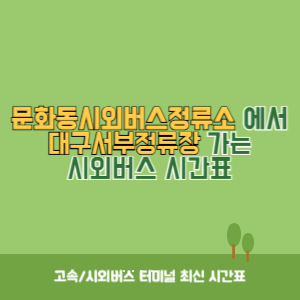 문화동시외버스정류소에서 대구서부정류장 가는 시외버스 시간표 최신정보