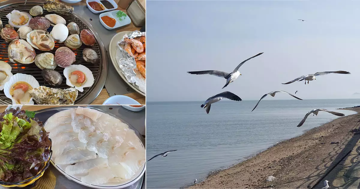 제부도 조개구이와 갈매기