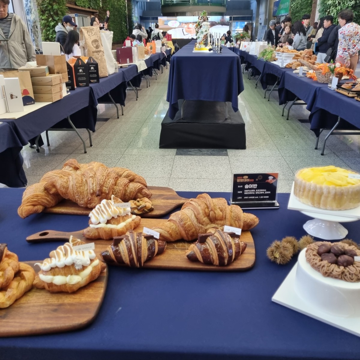  2024 베리베리 빵빵데이 2023 프로그램