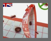 권연벌레 물린자국 퇴치법