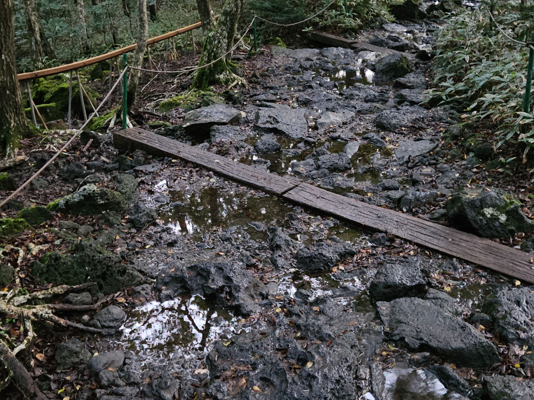 한라산 젖은 등산로
