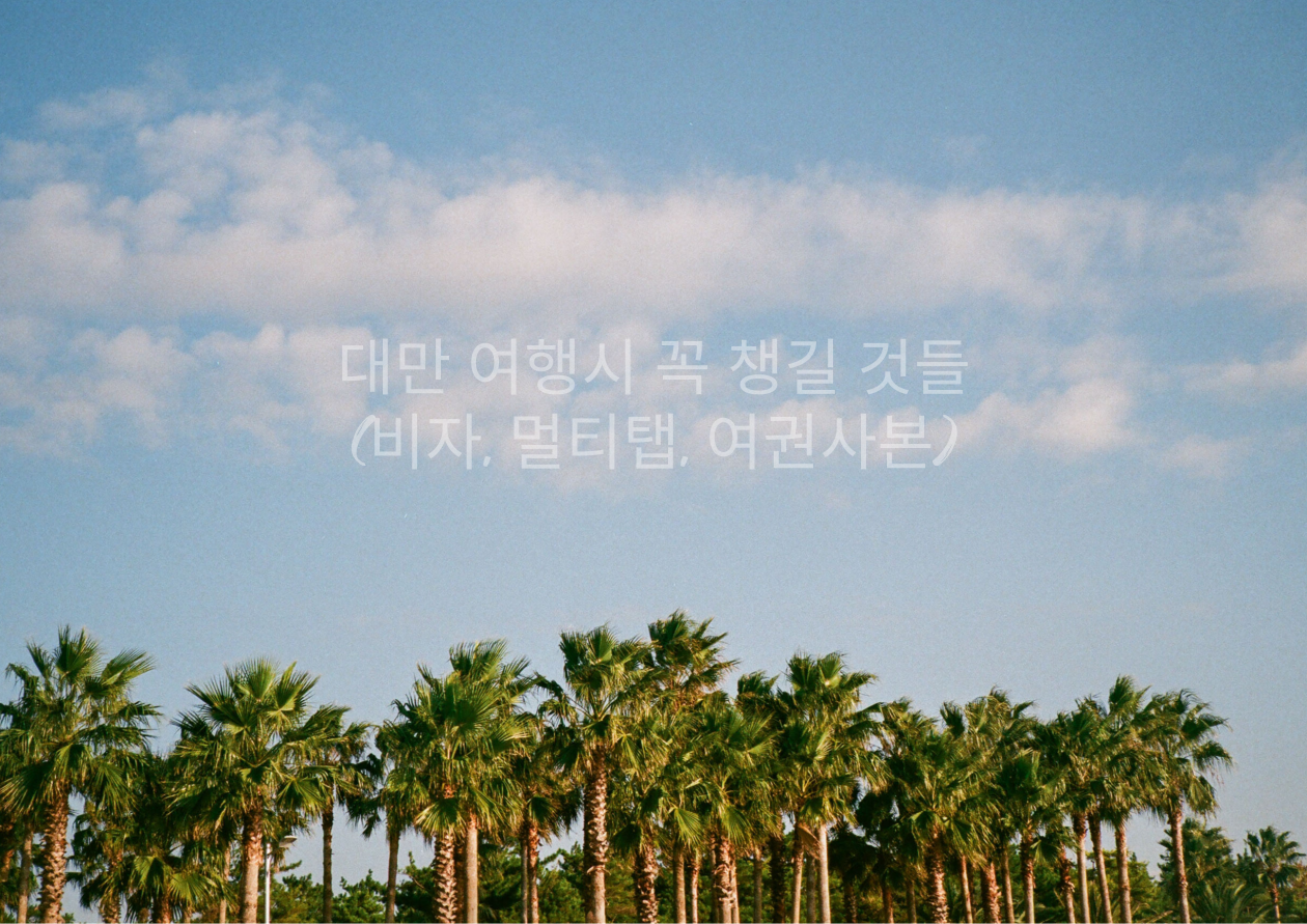 대민 여행시 꼭 챙길 것들(비자. 멀티탭, 여권사본)