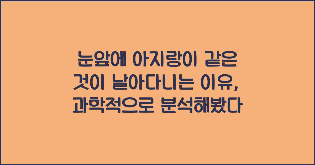 눈앞에 아지랑이 같은 것이 날아다니는 이유