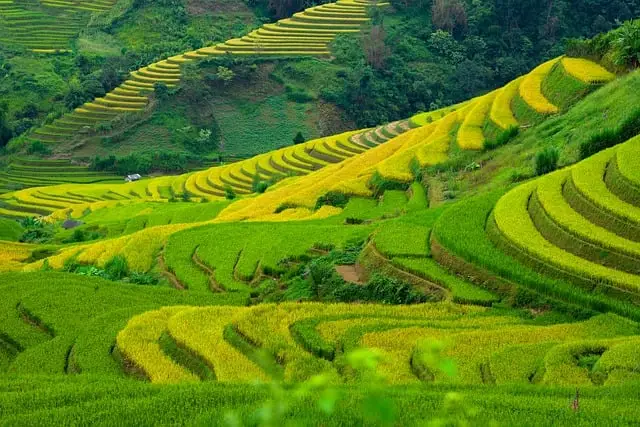 농어촌 기본소득 시범사업 지역 선정