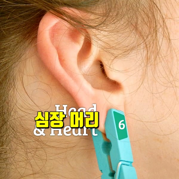 귀 지압점,피로에 좋은 지압법,팁줌