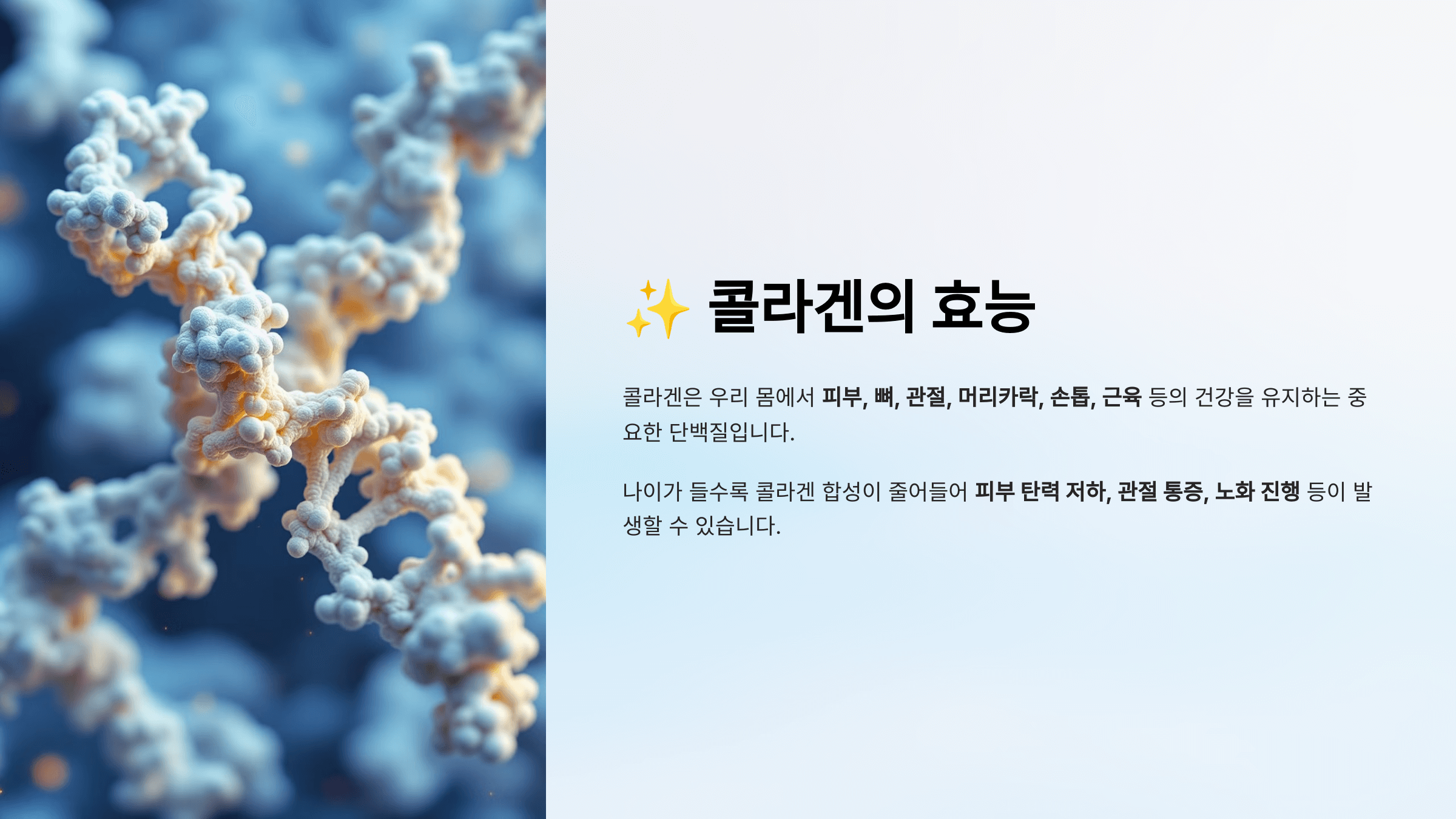 콜라겐과 관련된 사진입니다.