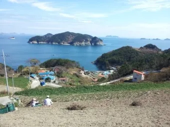 낚시 여행 경남 통영 욕지도 갈치 쭈꾸미 선상낚시 정보_5