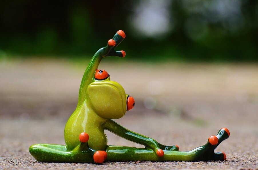 운동하는 개구리