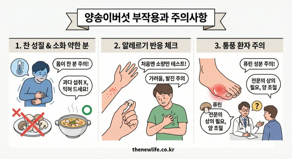 양송이버섯 효능과 함께 부작용 및 주의사항을 설명하는 인공 이미지