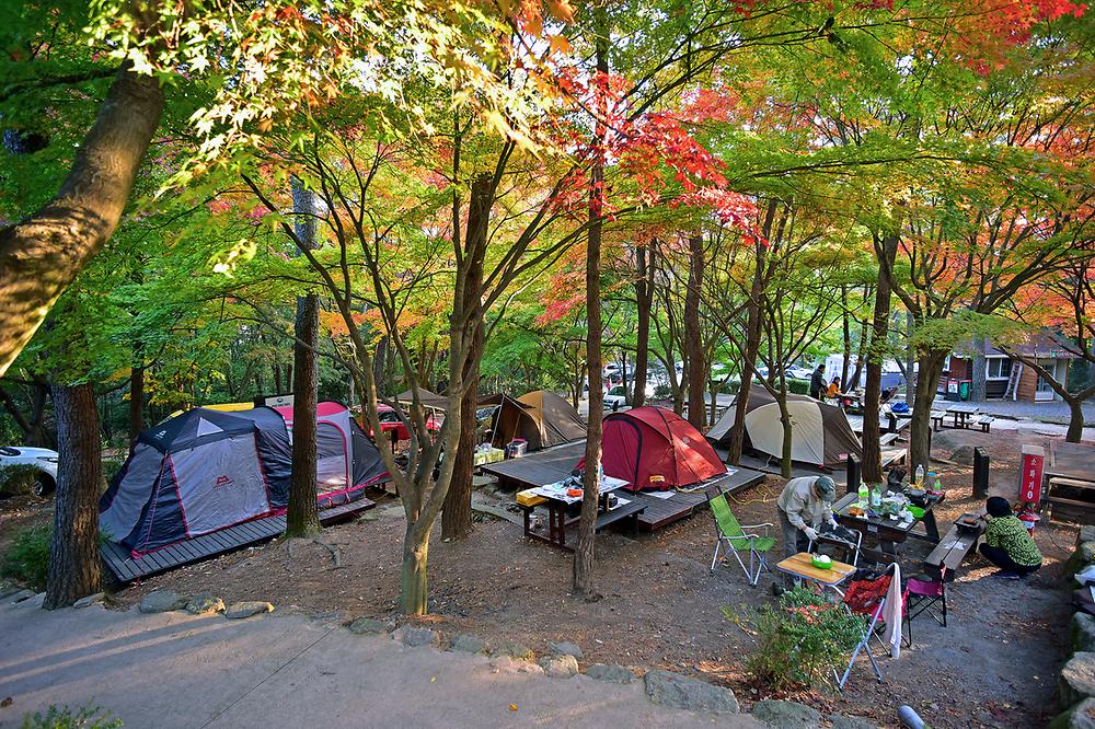 월출산국립공원 천황야영장
전라남도 영암군 영암읍 천황사로 280-73