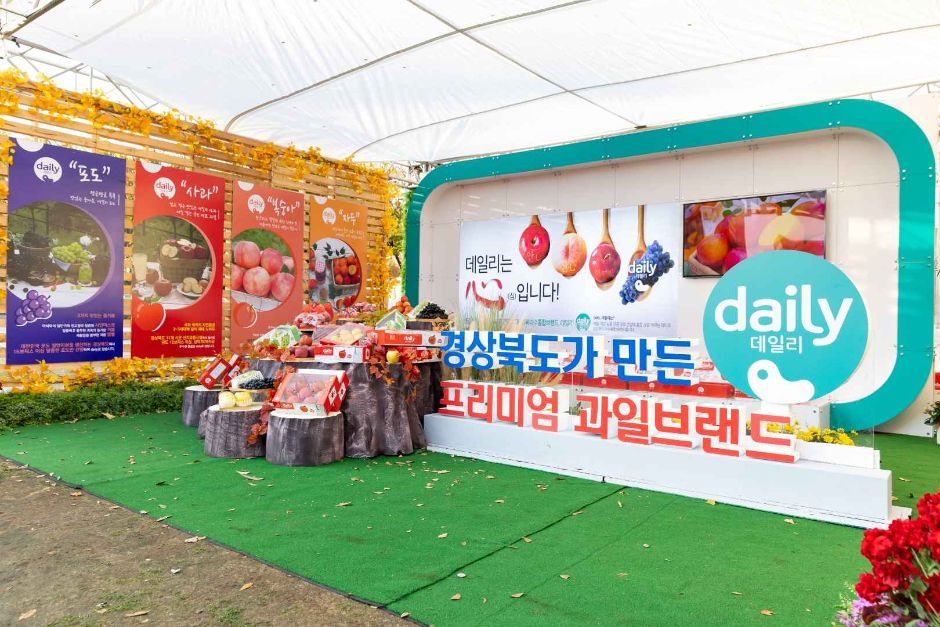 11월 지역 축제 서울 경기 가을 축제