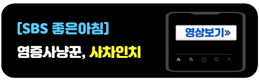 사차인치-염증개선효과