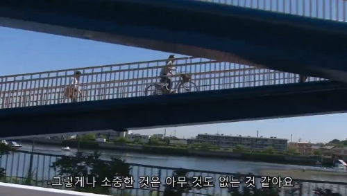메꽃