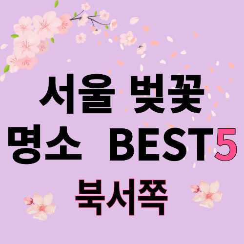북서쪽에도 봄이 와요 🍃 일산&middot;파주 벚꽃 명소 BEST5"