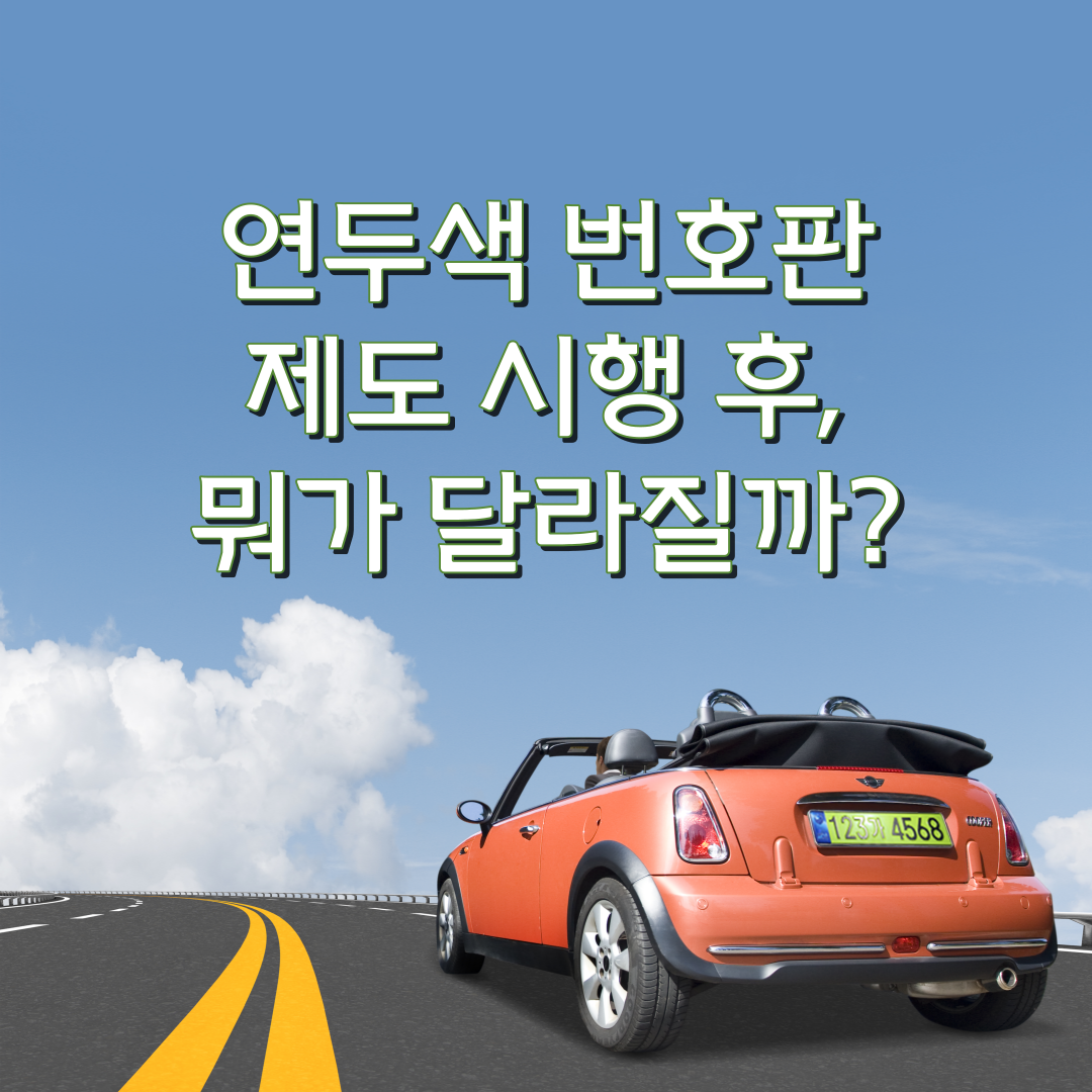 연두색번호판제도시행