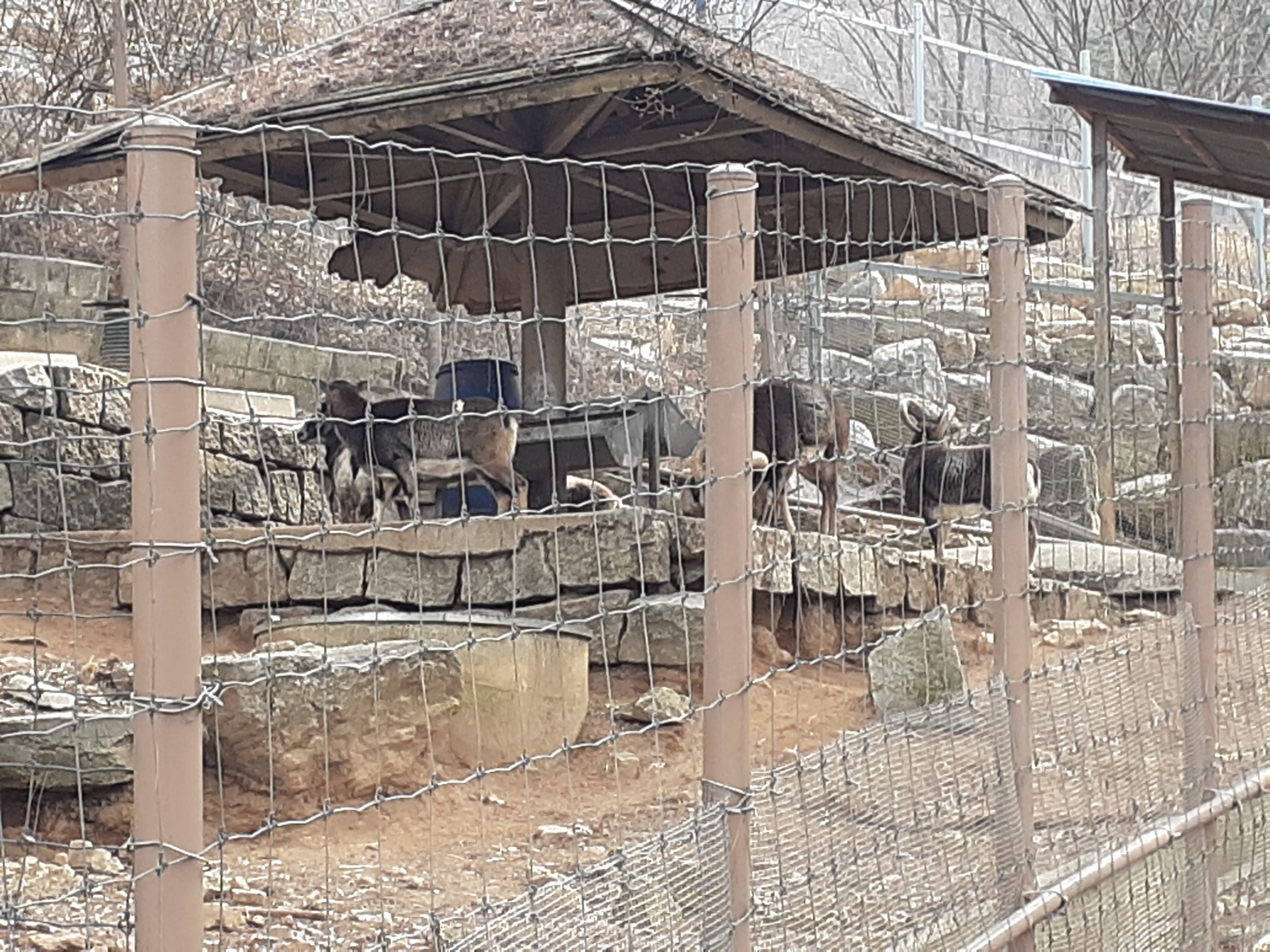 청주동물원