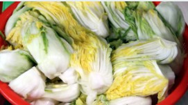 절임배추 사전예약