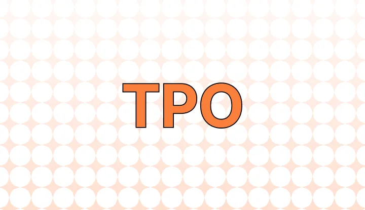 TPO 뜻 티피오 의미와 상황별 올바른 사용법 정리_4