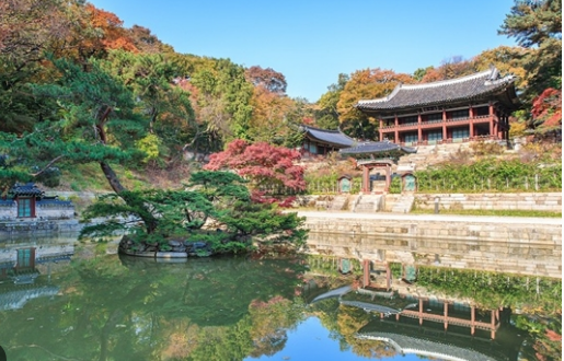 창덕궁 야간개장