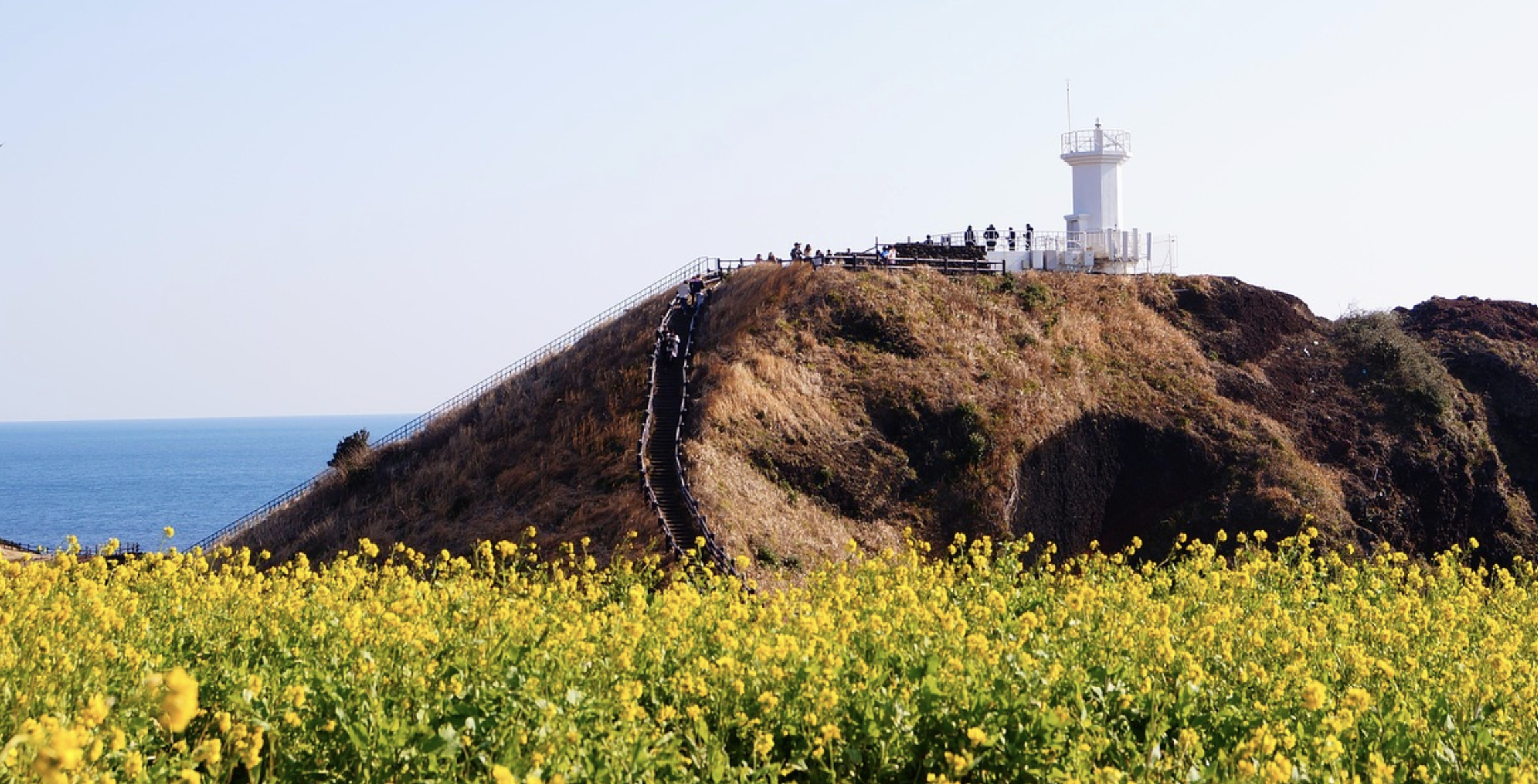 제주 여행 경비 절약 신용카드 추천 (2025 최신판-렌터카, 숙박, 경비)