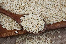 숟가락에 올려진 현미