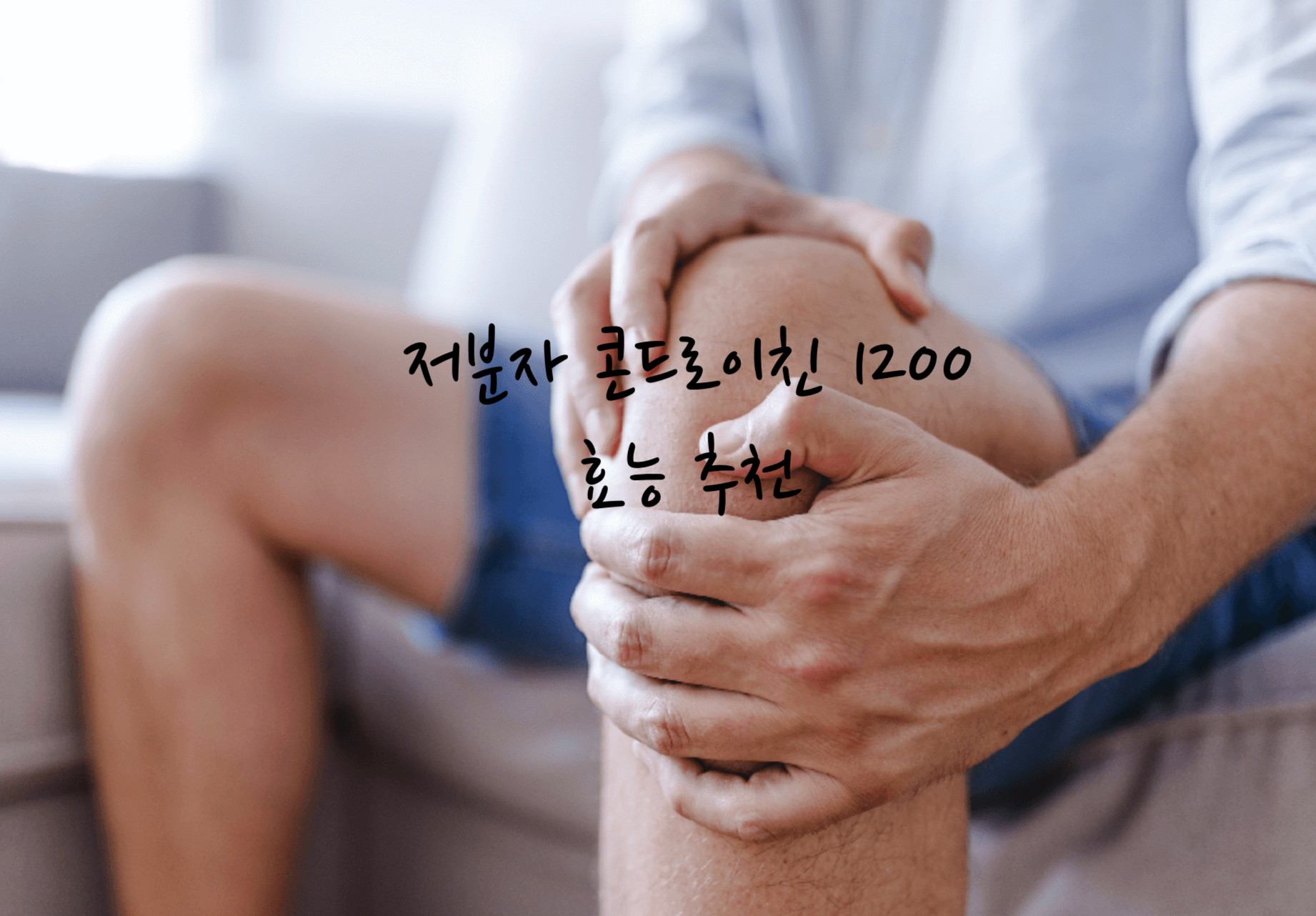 저분자 콘드로이친