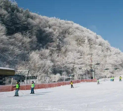 엘리시안강촌 스키장 전경