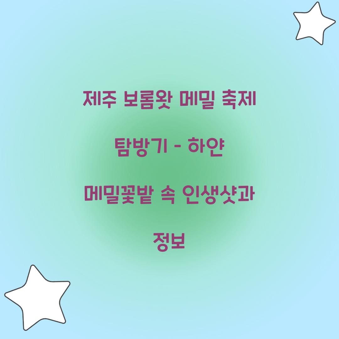 제주 보롬왓 메밀 축제