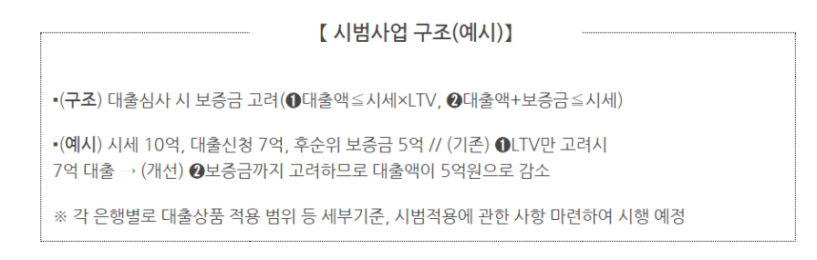 시범사업구조