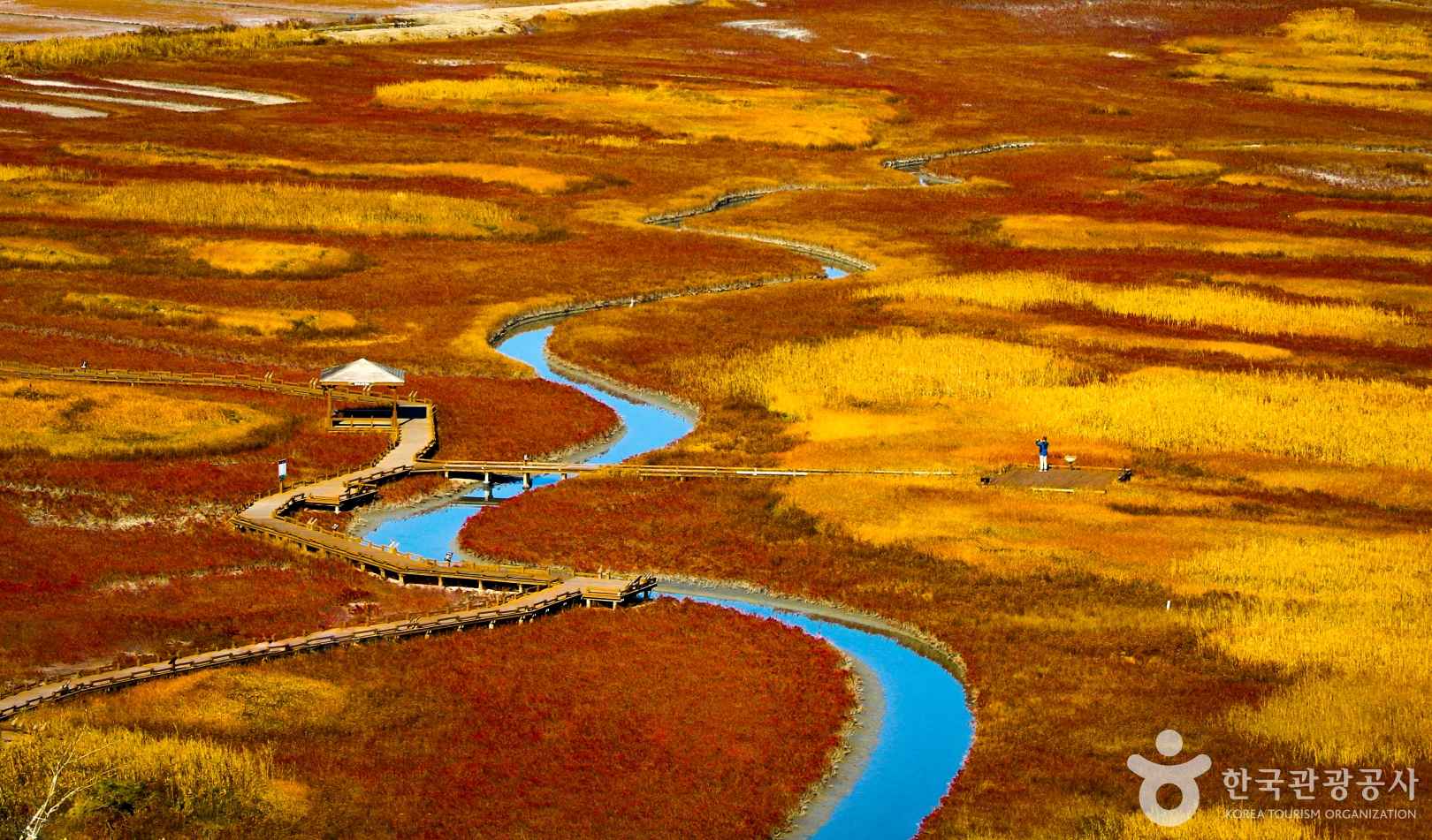 태평염생식물원