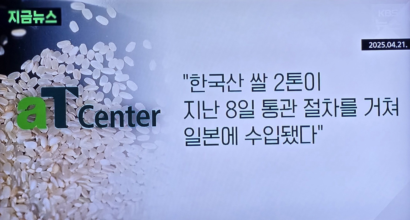 일본 쌀값의 폭등 이미지 사진