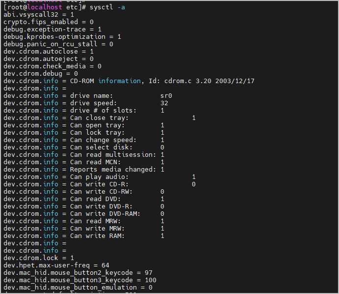 커널 파라미터 확인