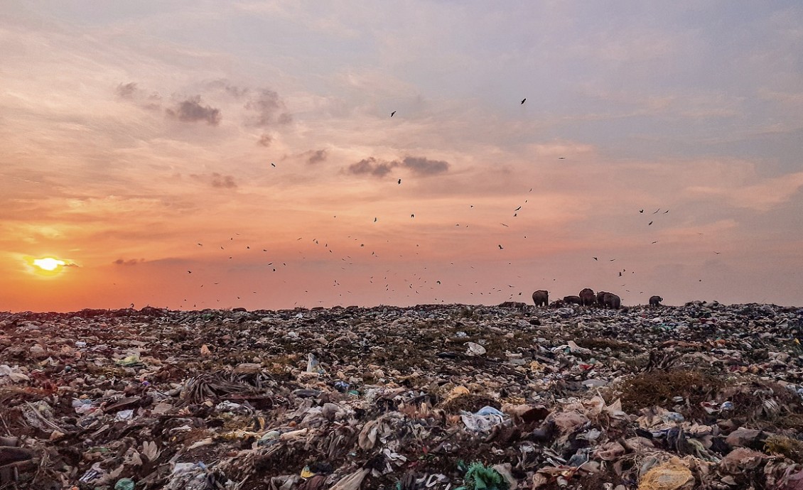 북태평양 쓰레기 지대
