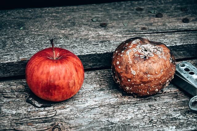 썩은 사과와 비교