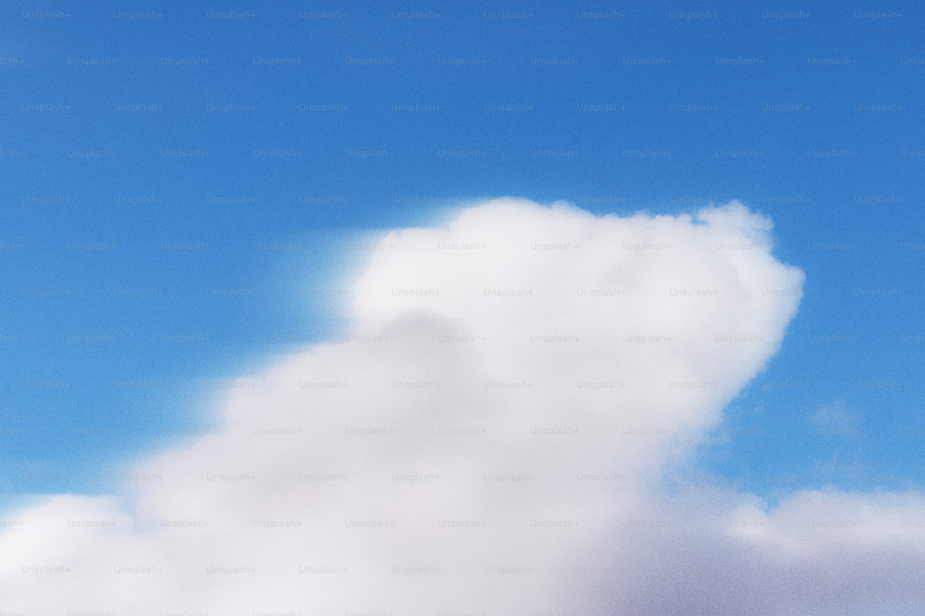 오늘의 운세사진