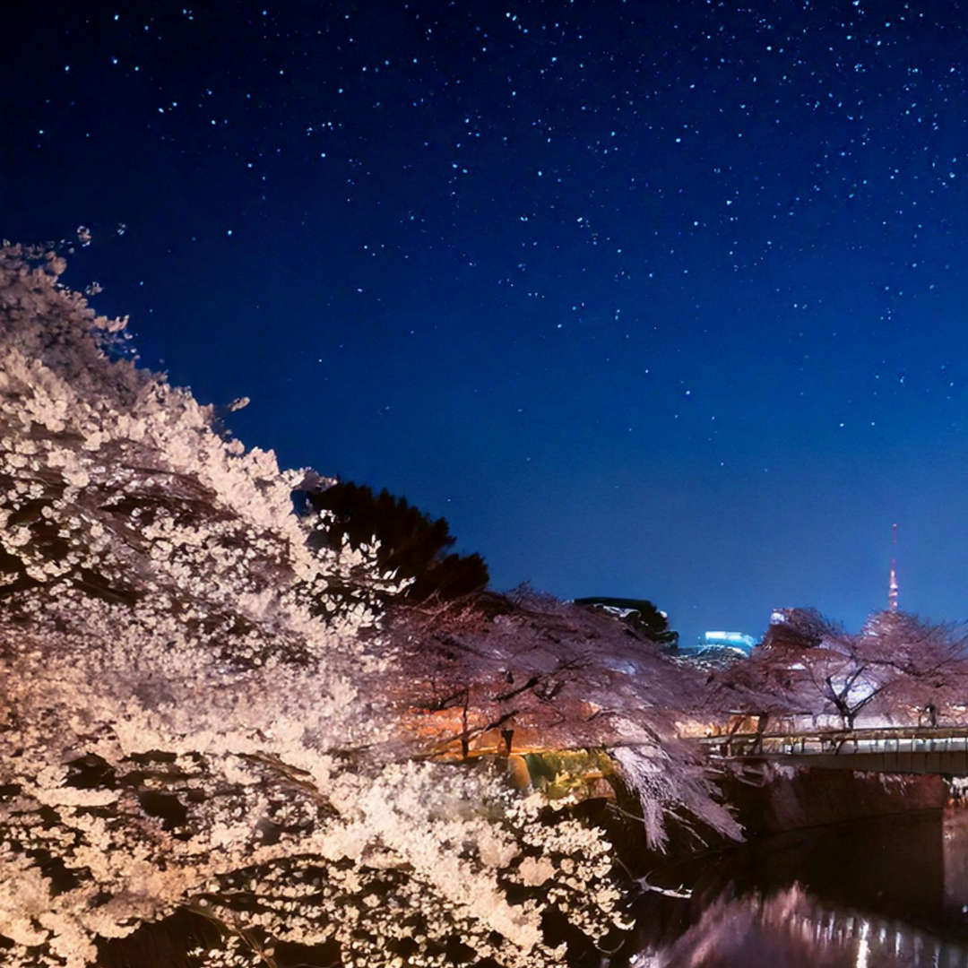 일본 여행 경비 저예산 여행 관련 사진