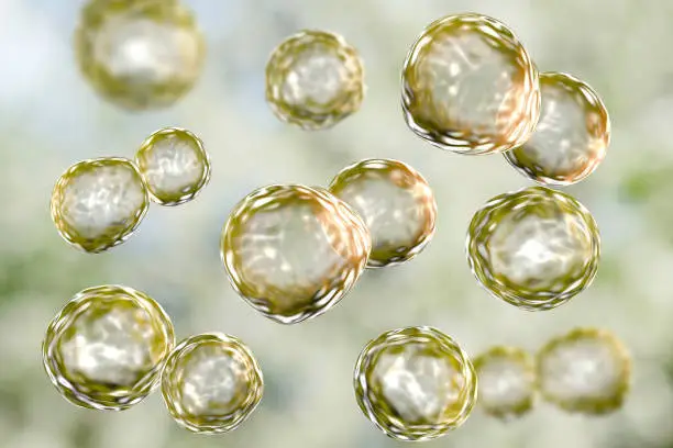 리포좀비타민C 효능과 부작용을 알아보고 언제 복용하면 가장 좋을까? 일반 비타민은 들어봤는데 리포솜비타민C는 좀 생소하시지요? 요즘 영양제로 많이 나와있는데요~ 어떤 제품을 선택해야 좋을지도 확인해 보시기 바래요~