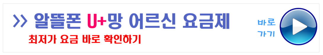유플러스망