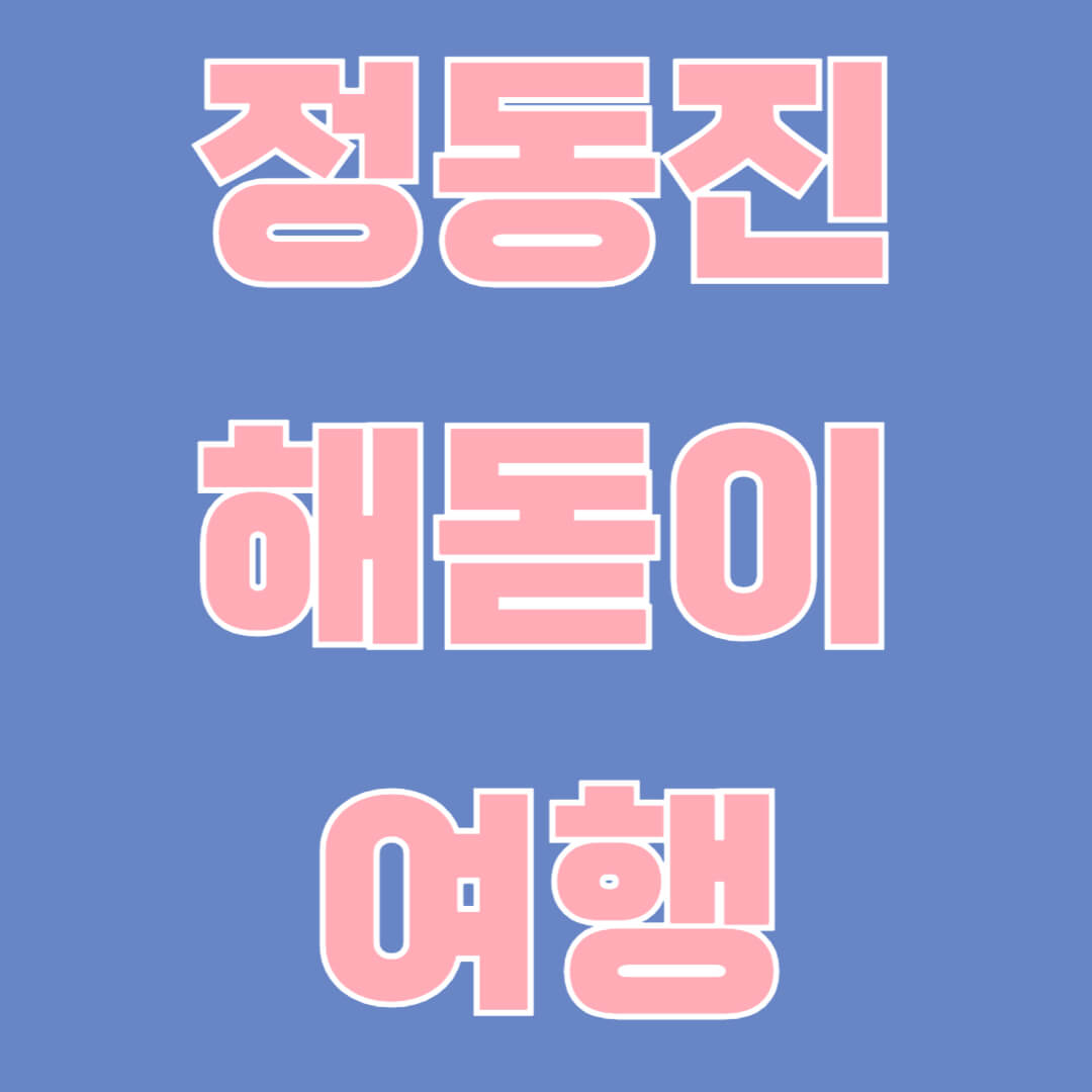 정동진 해돋이 포토스팟, 교통, 관광 정보, 꿀팁