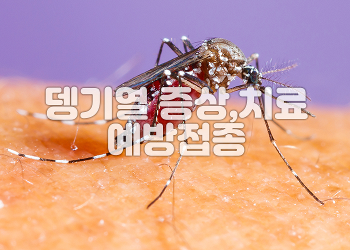 사람의 피부에 모기가 달라 붙어 있는 이미지