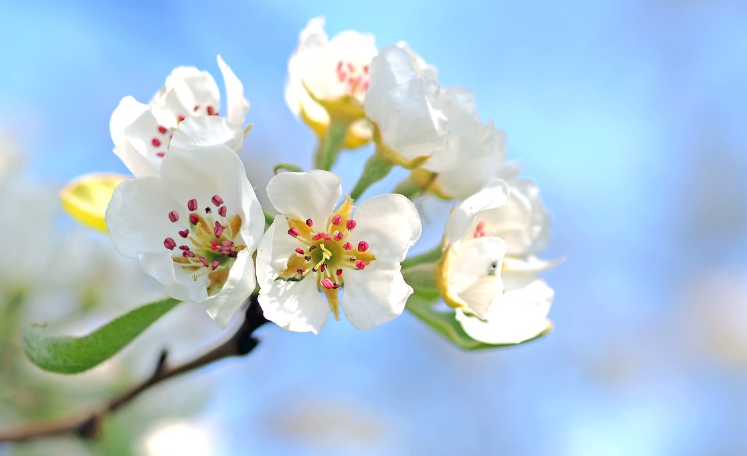 금요일 아침인사말과 가볍게 보낼 테스트 모음집