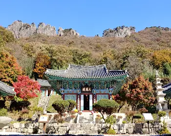 내장산 단풍_22
