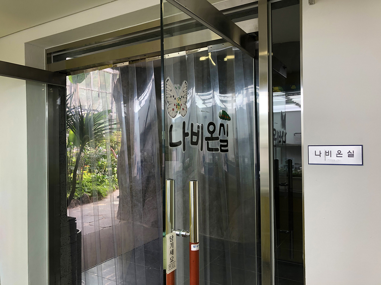 나비 온실