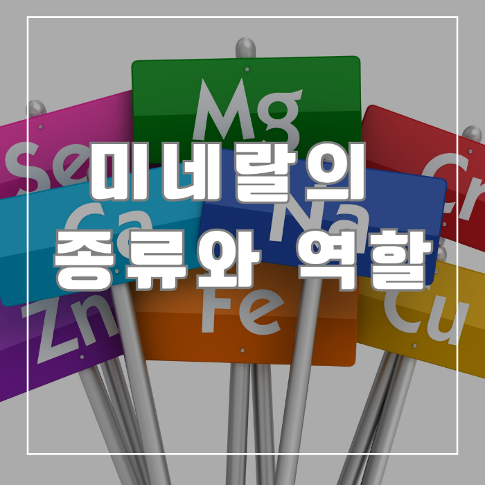 미네랄의 종류와 역할