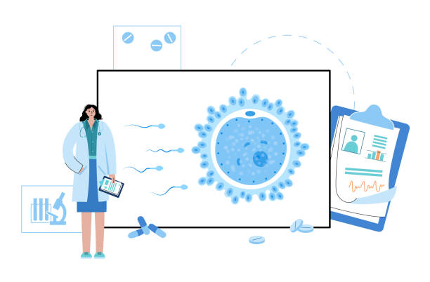 임신을 준비하는 여성이라면 반드시 알아야 할 것이 바로 난포 건강