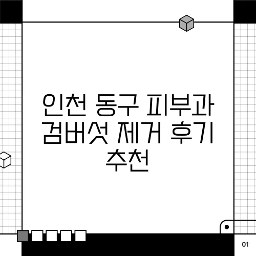 인천 동구 피부과 검버섯 제거 후기 추천