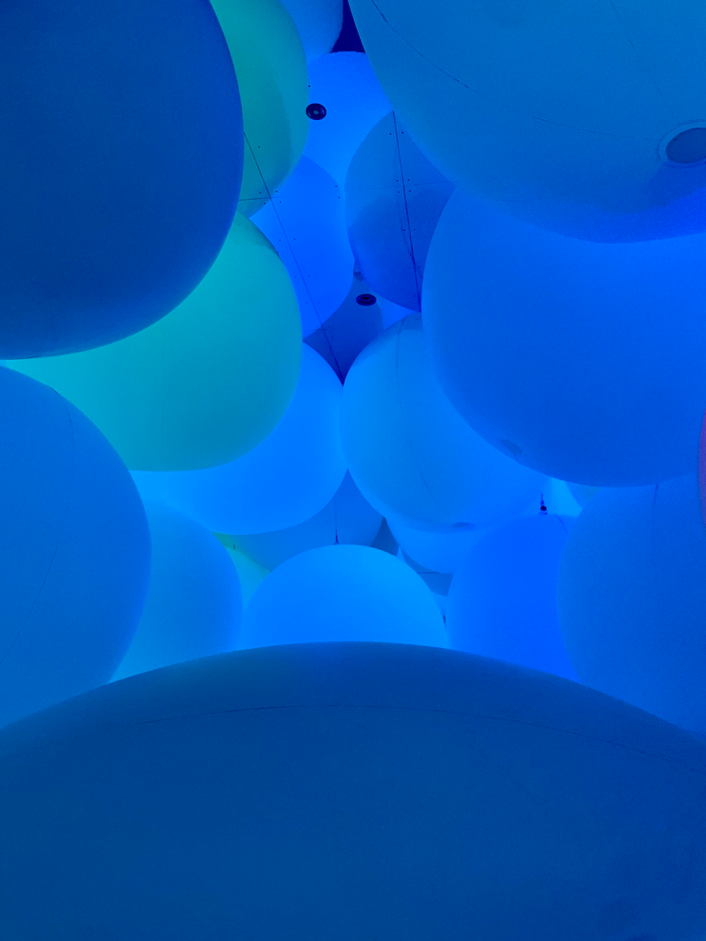 일본 도쿄 팀랩플래닛 관람-평면화하는 세 가지 색과 모호한 아홉 가지 색