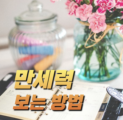 만세력-보는법