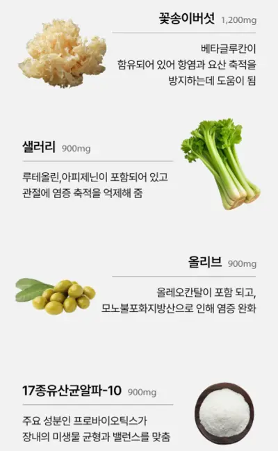 셀로비스 요사민 내돈내산 후기 효능 성분 부작용 복용법 가격 통풍 효과