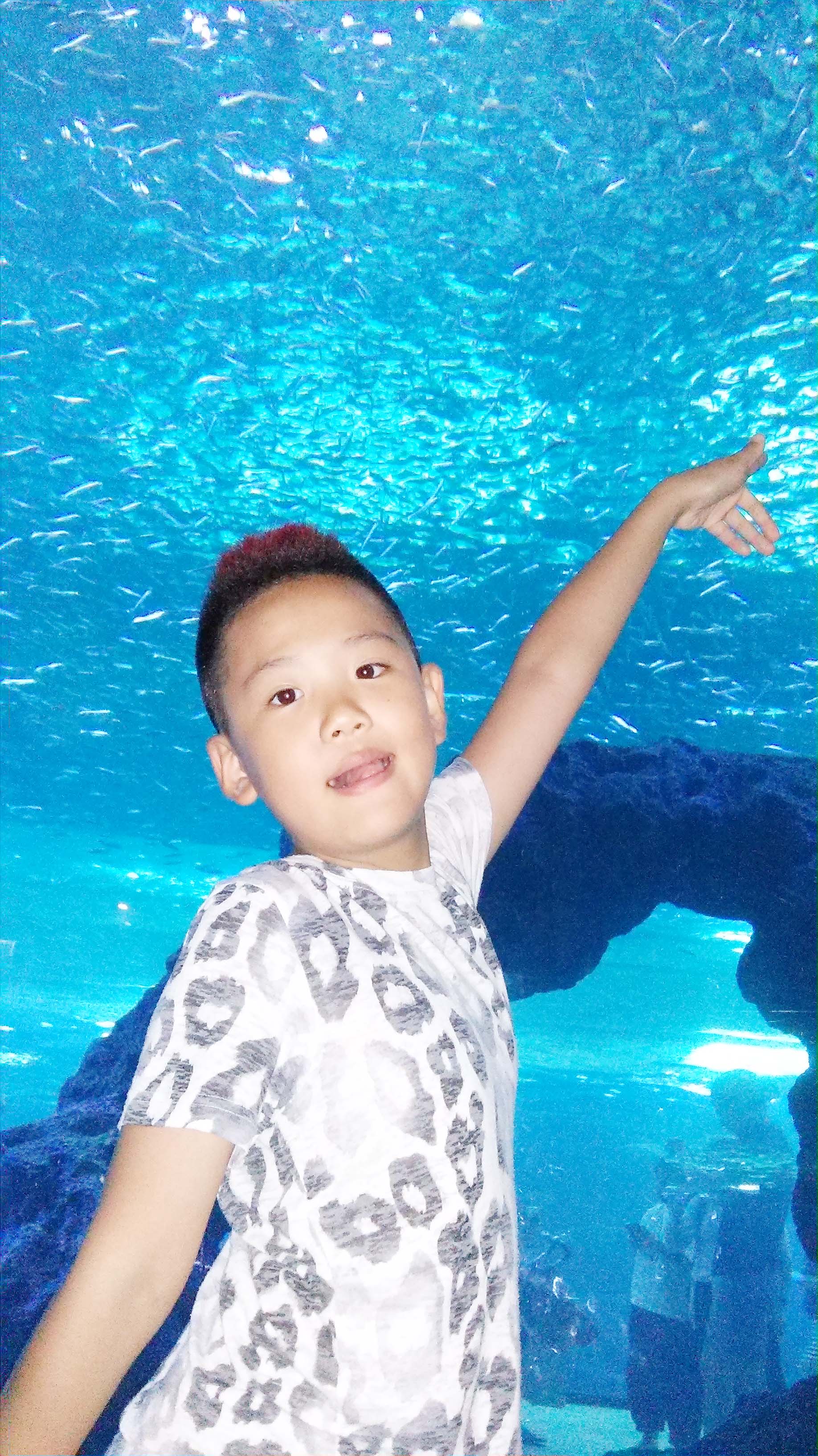 아쿠아플라넷 제주